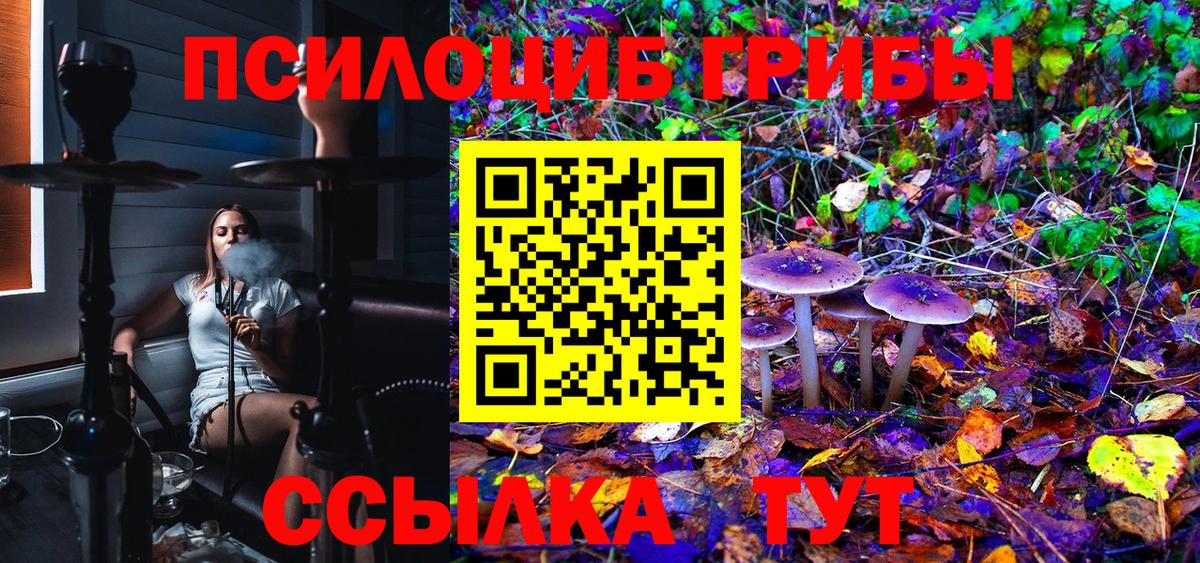 Псилоцибиновые грибы GOLDEN TEACHER Медногорск