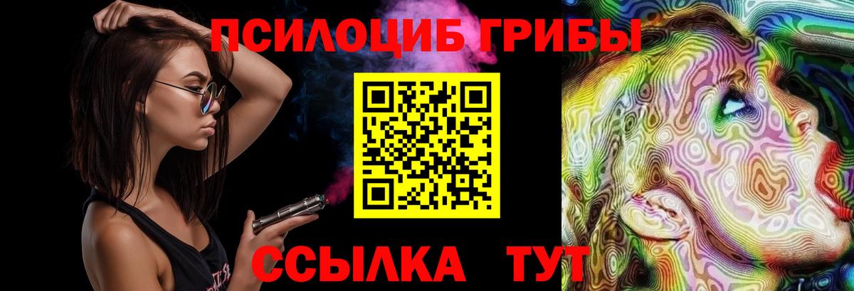 Галлюциногенные грибы GOLDEN TEACHER  Вход с VPN  Медногорск 